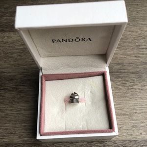Pandora Cupcake Charm